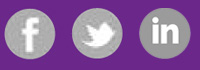 Social Accountant Icons